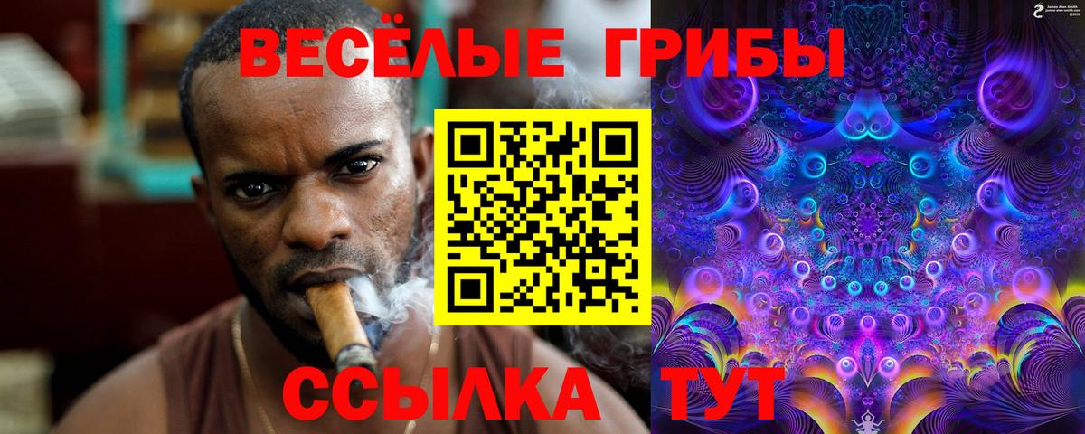Псилоцибиновые грибы Psilocybe Светлоград