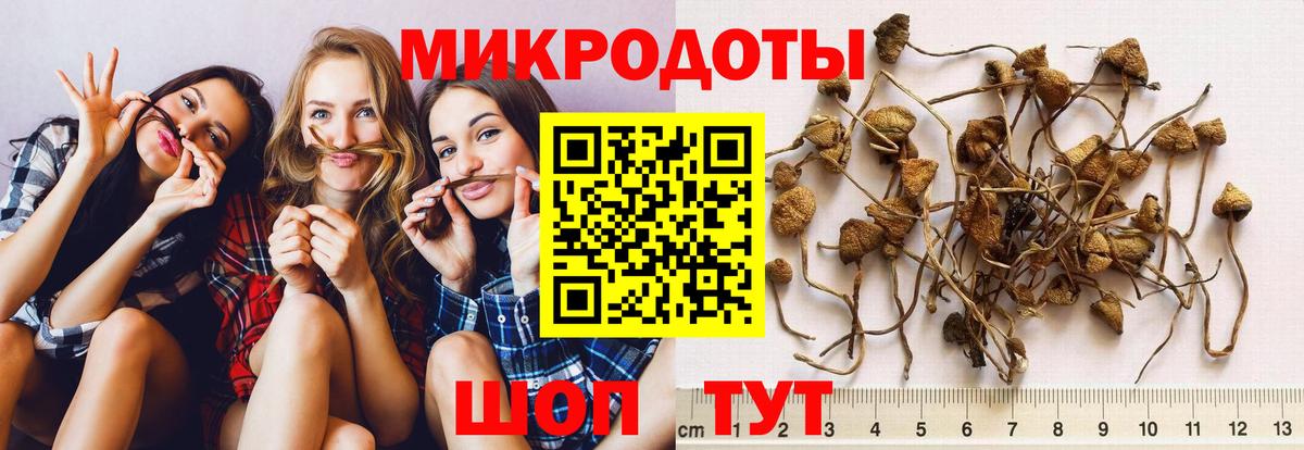Светлоград  Псилоцибиновые грибы прущие грибы  Вход с VPN 